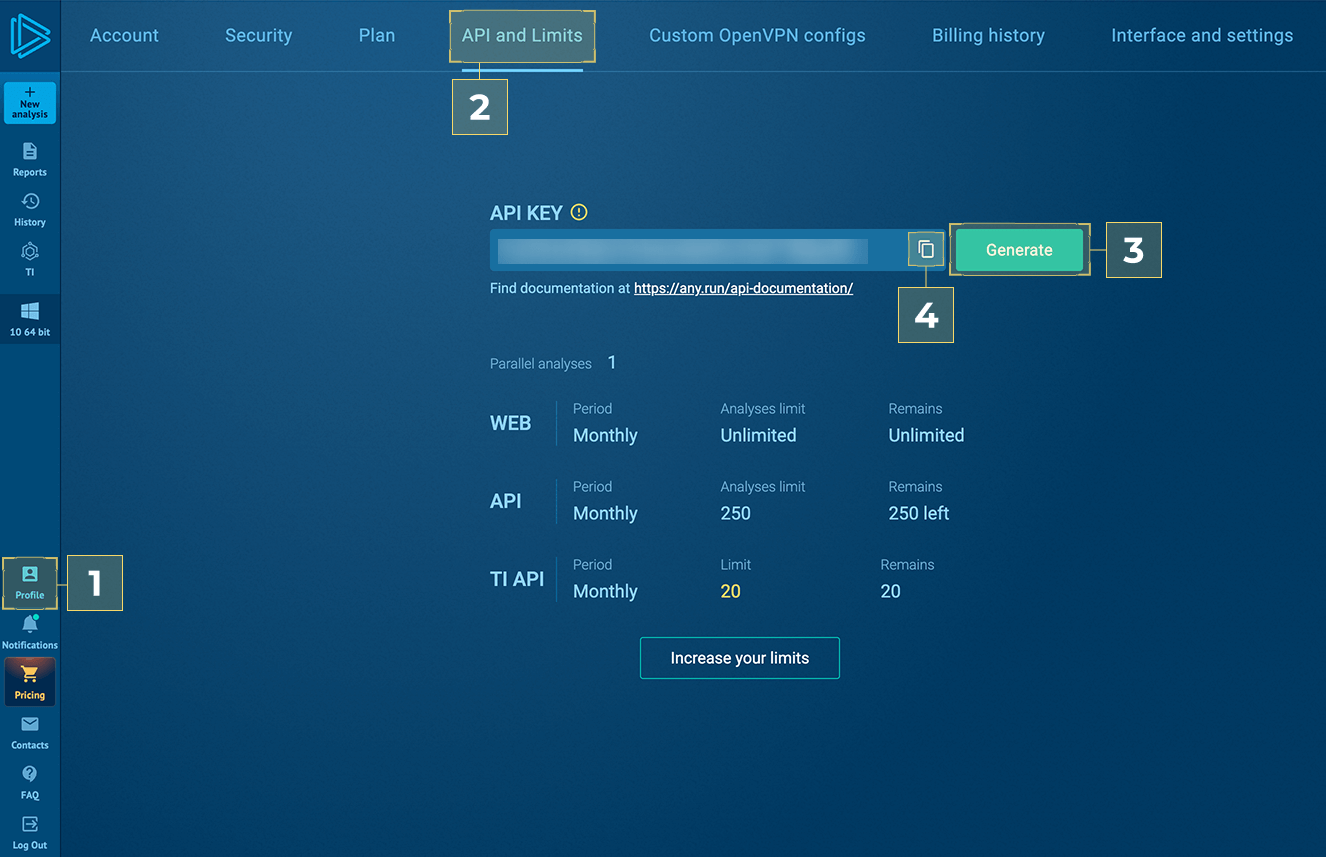 ANY.RUN API key